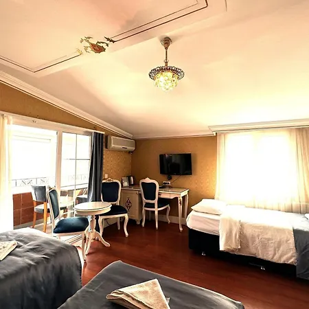 호텔 The Alyon Taksim 3*